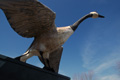The World's Largest Goose, Sumner, MO. One of the sites featured in the feature documentary World's Largest.